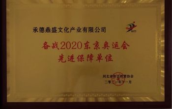冰球突破(中国认证)有限公司-官网